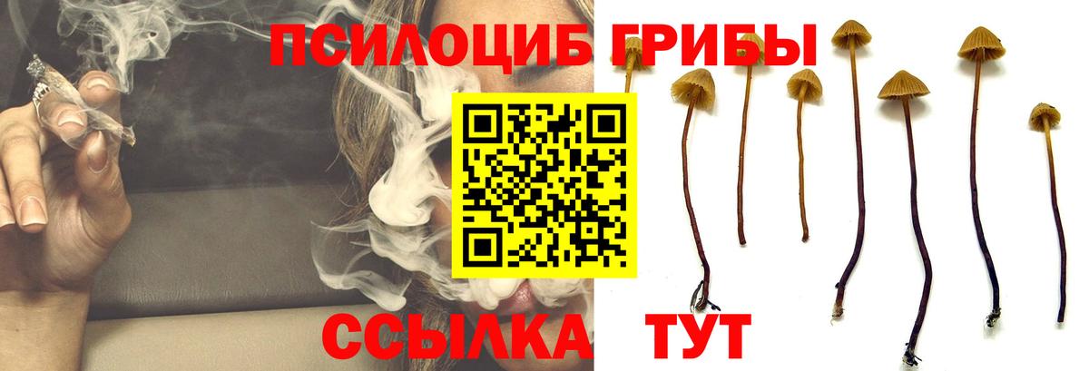 Галлюциногенные грибы мухоморы  Псилоцибиновые грибы Magic Shrooms  Луховицы  Вход с VPN 